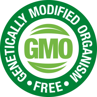 2020INC logo